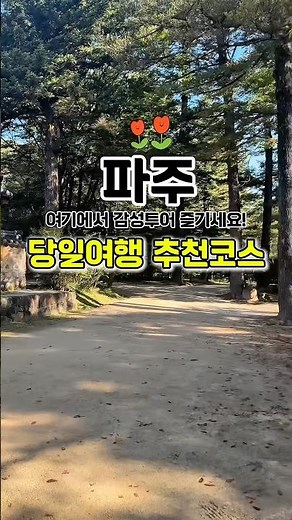 #파주 #파주가볼만한곳 #가볼만한곳 #데이트 #아이랑가볼만한곳 #당일치기여행 #산책코스 #삼릉숲길#가을여행지