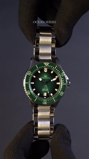 Gorgeous Ocean Series Dive Watches for Collectors