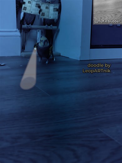 💰🧻 VALUABLES 💰🧻 #throwback #leopartnik Background video source: IG - fluff.n.blubber Animation: #LeopARTnik