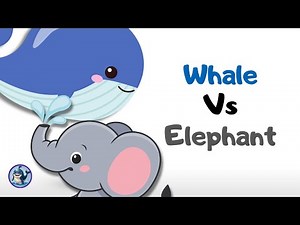 Whales vs. Elephants | Education video for kids