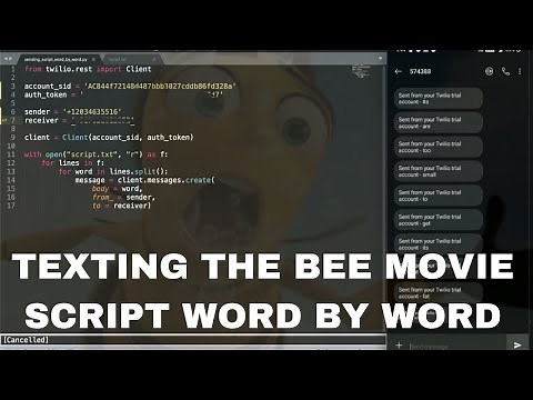 Sending the bee movie script one word at a time (Tutorial for beginners using Python)