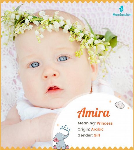 Amira Name Meaning, Origin, History, and Popularity