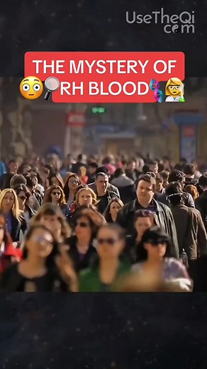 40 reactions · 20 shares | Did you know that 15% of the human population has Rh negative blood? Scientists aren't sure where this blood type originated from, but some suggest it could be the result of an ancient species that was either put here or evolved naturally. Who knows... #rhnegativeblood #humans #evolution #geneticalteration #natural #formation #earthevolution #blood #earth #life #facts | Jenn White | Facebook