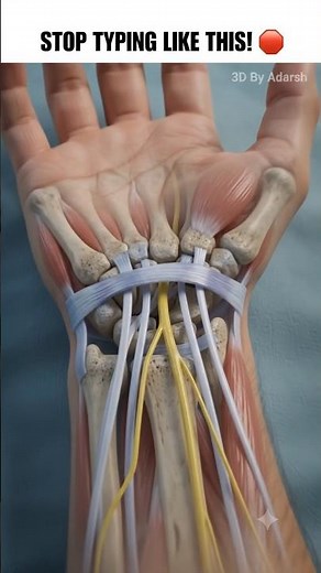 Why Your Wrist HURTS After Using The Computer! 🖱️⚠️ #shorts #science #3d