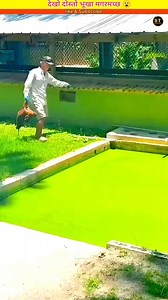 25M views · 67K reactions | Bhukha magarmach  ~_mini_wood_toy-_woodworking_art_skill_wood_hand_#shorts #fbreelsfypシ゚viralシ #reelsfbシ #fbreels #fbreelsvideo #viralvideoシ #fbviral #fb #viral #trending #funny | Facts with Hiraman | Facebook