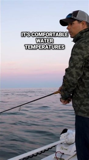 Monomoy: The ULTIMATE Spot for Summer Striped Bass Fishing