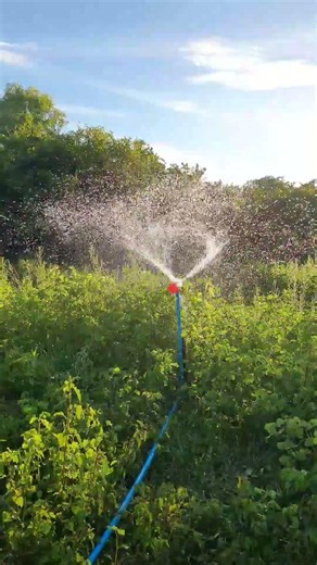 Best DIY Irrigation System Made from Plastic Bottles.