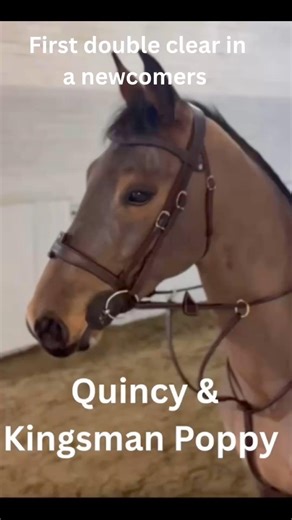 Quincy & Kingsman Poppy first double clear in a newcomers