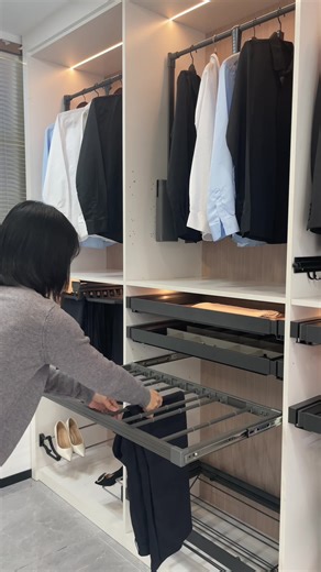 Dual Function Wardrobe Lift with Pull-Out Trousers Rack