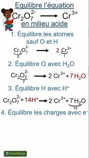 ⚖️EQUILIBRE tes équations comme un pro !