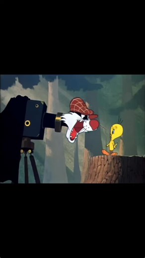 Hometime Vintage Cartoon 3.0 on Instagram: "Tweet Tweet Tweety (1951) #FrizFreleng Follow for more cartoon video 🥰 #cartoonnetwork #classiccartoons #funnyvideo #comedy #usa #cartoon #comedyvideos #viral #disney #StarsEverywhere #funny #comic #usa #looneytunes #90s #Netflix #fypシ゚viralシfypシ゚ #animation #newyork #trending"