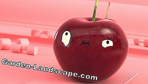 Garden Practice: Instructions: Laying Footboards - My Beautiful Garden | 2025