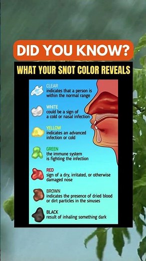 What Your Snot Color Really Means 🤧🌈