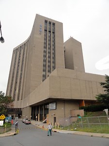 The Causes and Effects Associated with Gout