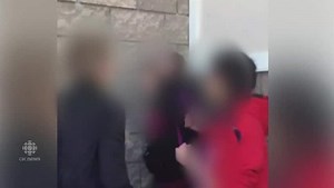 Video of Edmonton students fighting