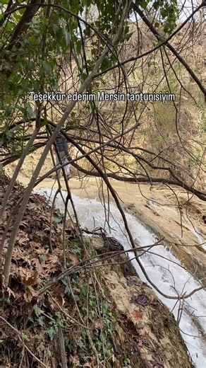 Büşra Köşe on Instagram: "Mersin tantunisiyim #keşfet #fyp #fpace #akım"