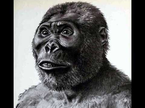 Tribute to the Art of Paleoartist Jay Matternes