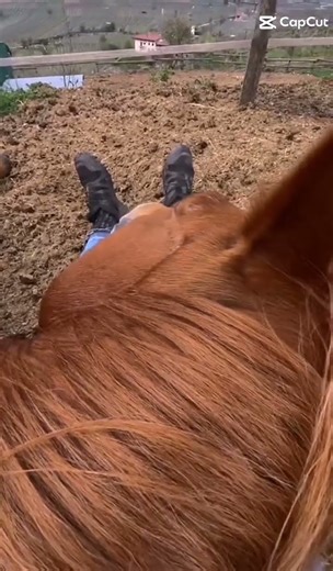 Springen #Jump #Reiten #equestrian #edit #sports #svenhorse #pferd #horse #Turnier #Hobbyhorse