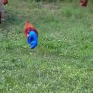 4.7K views · 90 reactions | Random on Reels | Facebook