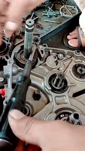 Spring Installation⁉️