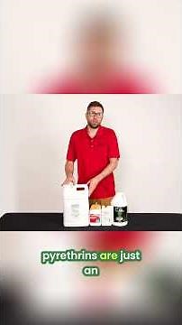 Top 3 Pest Control Products Explained Oil, Neem, Pyrethrins!