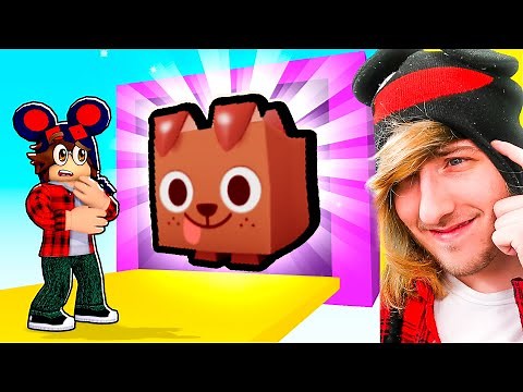 Impossible Guess The Pet Simulator X Pets Challenge!