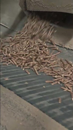 Inside a Complete Biomass Pellet Production Line | From Material to Pellets