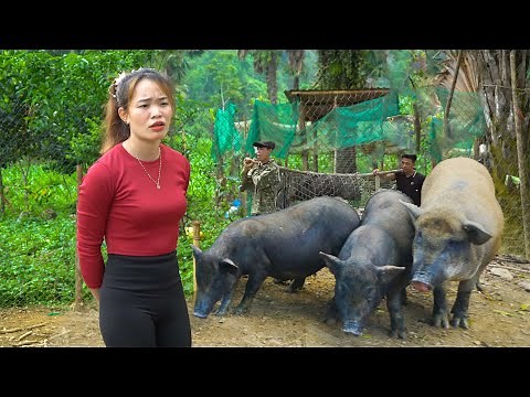 Selling 180KG Pigs After 9 Months of Hard Work | Single Mom Farm Life & Market Journey