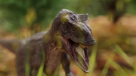 The smallest dinosaurs ever found or misidentified juveniles