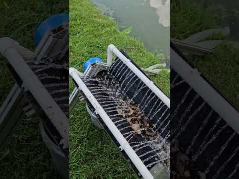 Patriot Gold Prospecting Classifier/Extractor