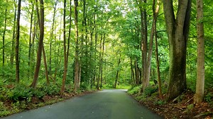 State of New Jersey Retirement System Overview Explained