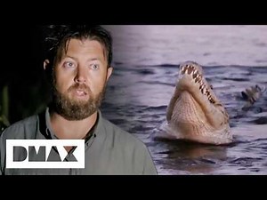 Crew Tracks MASSIVE 15-Foot Crocodile After Canoe Attack | Mysterious Creatures With Forrest Galante