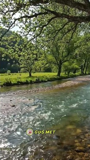 "A beautiful natural scenery complemented by a rushing river"