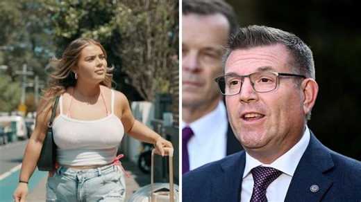NSW Nationals leader resigns day after daughter features in adult film documentary