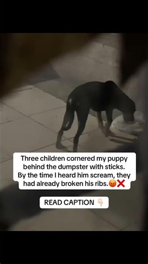 READ CAPTION 👇🏻