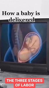 17K views · 240 reactions | STAGES OF LABOR1. DILATION OF THE...