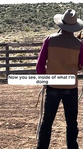 The horse being able to have their own experience inside of our experience = consent-based training. Did you want to attend one of my clinics this year but were unable to? Or just learning about me now and interested to see what my clinics are all about? I recorded three clinics, start to finish, so that you can watch them anywhere in the world on your computer or phone, and to offer you a deep, clear insight into a clinic in Emotional Horsemanship. - April 2024- Longmont Colorado - May 2025- Ta