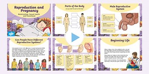 RSHP Reproduction and Pregnancy PowerPoint