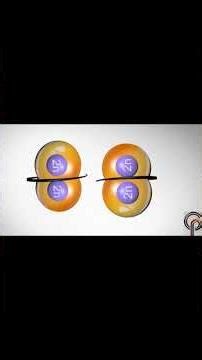 Incredible IVF Animation 💫 | From Fertilization to Embryo Implantation