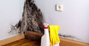 5 soluções caseiras para eliminar o mofo na parede