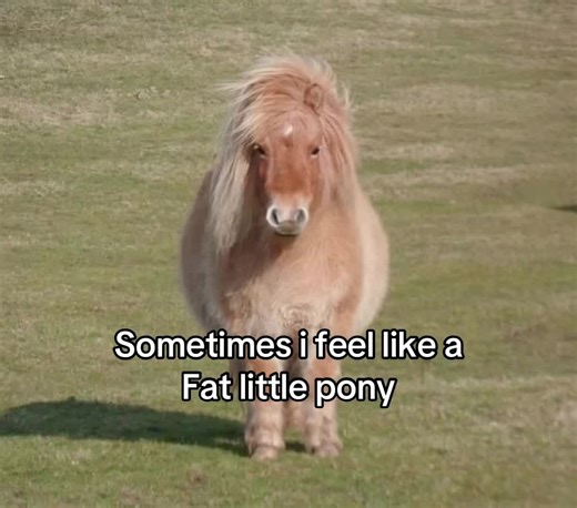 Adorable Fat Little Pony Moments