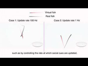 Scientists use virtual reality for fish to teach robots how to swarm