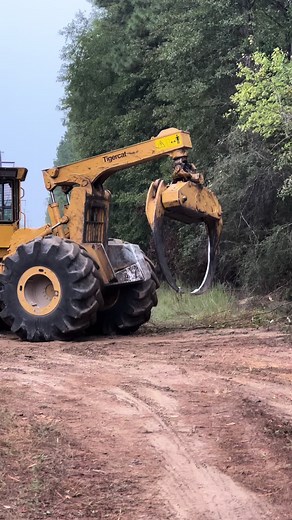 Tigercat strong💪🏼#tigercatforestry #logging #superiorforestry