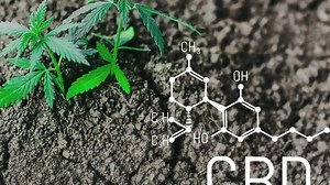 How CBD appeals to young New Yorkers seeking stress and pain relief: college student survey