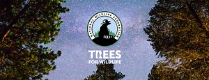 About Trees for Wildlife™ | National Wildlife Federation