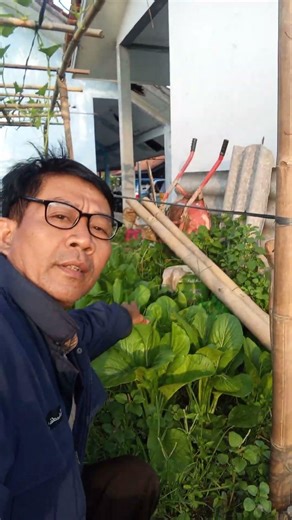 Kebun Labu Madu #Short