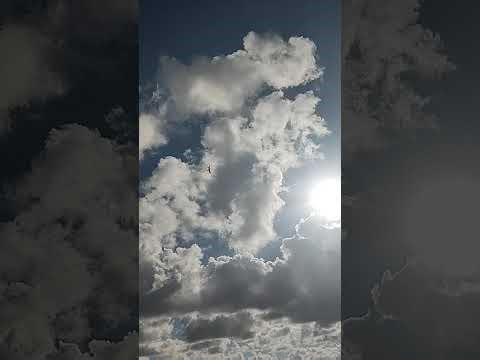 USAF F-22 Raptor & F-16 Falcon INSANE High-Speed Passes at Stuart Air Show 2025!