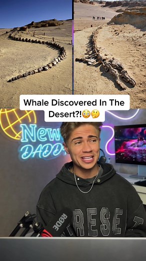 Lake Mega Chad: The Whale Mystery of the Sahara Desert