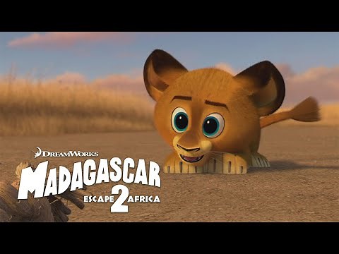 Baby Alex is SO Cute! 🥺 🦁 | Madagascar: Escape 2 Africa | Animal Friends