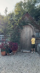 376K views · 8.7K reactions | Fall colors are showing up on the farm  Just need the weather to cooperate now and get a bit cooler! Some of my favorite flowers and plants this season: Sunflowers Gomphrena Scabiosa Zinnias Coneflower Potato vine Coleus Sedums Arrowhead Heuchera Ferns | Joanna Gaines | Facebook